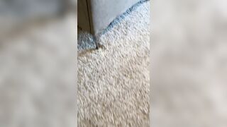 Cremedelapeach (Cream Dela Peach aka Cr3medelapeach) P3aches_n_cream 19 yo Single College Student Porn 42