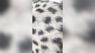 Catexclusive (Cat Bad Dragon Queen aka Cat Exclusive) OnlyFans Leaks Catgirl Gone Wild Porn Video 114