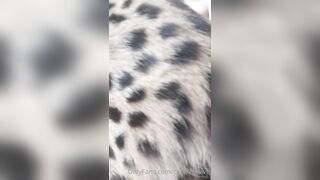 Catexclusive (Cat Bad Dragon Queen aka Cat Exclusive) OnlyFans Leaks Catgirl Gone Wild Porn Video 114