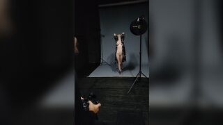 Milaazul (Mila Azul aka mila_azul aka milaazul4real aka milaazule53) OnlyFans Leaks Hot Sexy Model Porn 73