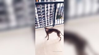 Itspatikayy (Patikayy aka patryciakayy) OnlyFans Pati Land HouseofPati Patryciaswings Porn Video 25