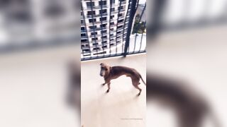 Itspatikayy (Patikayy aka patryciakayy) OnlyFans Pati Land HouseofPati Patryciaswings Porn Video 25