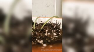 Jaylamaclaren (Jayla McLaren aka frazborn) OnlyFans Leaks Stunning Brunette with Natural Perfect Body Porn 156