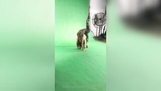 Yogagoddess (Mel Yoga Goddess aka Yogagoddessbae aka MELSPIRATIONS) OnlyFans Leaks Tantrica Porn 91