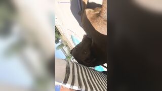 Nikki Morrell Social Media Leaked Amateur Nude Girl Porn Video 3