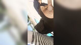 Nikki Morrell Social Media Leaked Amateur Nude Girl Porn Video 3