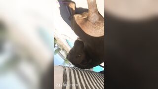 Nikki Morrell Social Media Leaked Amateur Nude Girl Porn Video 3