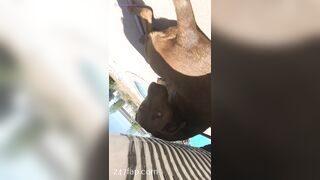 Nikki Morrell Social Media Leaked Amateur Nude Girl Porn Video 3