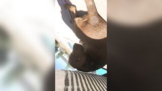 Nikki Morrell Social Media Leaked Amateur Nude Girl Porn Video 3