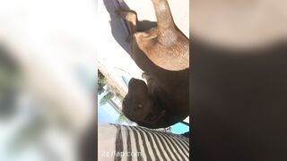 Nikki Morrell Social Media Leaked Amateur Nude Girl Porn Video 3