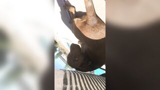 Nikki Morrell Social Media Leaked Amateur Nude Girl Porn Video 3