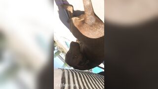 Nikki Morrell Social Media Leaked Amateur Nude Girl Porn Video 3