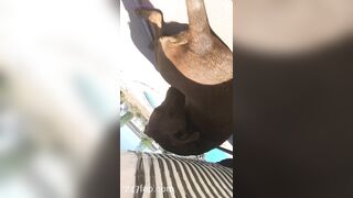 Nikki Morrell Social Media Leaked Amateur Nude Girl Porn Video 3