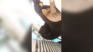 Nikki Morrell Social Media Leaked Amateur Nude Girl Porn Video 3