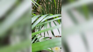 Bloomyogi (Emma Bloom aka Bloomyogi aka bloomyogi1) OnlyFans Leaks oftravelcouple Nature lover Porn 56