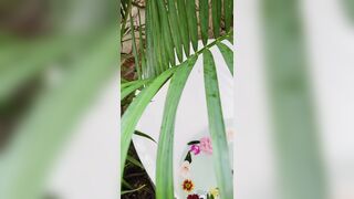 Bloomyogi (Emma Bloom aka Bloomyogi aka bloomyogi1) OnlyFans Leaks oftravelcouple Nature lover Porn 56