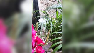 Bloomyogi (Emma Bloom aka Bloomyogi aka bloomyogi1) OnlyFans Leaks oftravelcouple Nature lover Porn 56