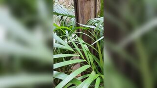 Bloomyogi (Emma Bloom aka Bloomyogi aka bloomyogi1) OnlyFans Leaks oftravelcouple Nature lover Porn 56