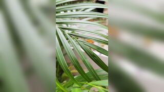 Bloomyogi (Emma Bloom aka Bloomyogi aka bloomyogi1) OnlyFans Leaks oftravelcouple Nature lover Porn 56