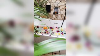 Bloomyogi (Emma Bloom aka Bloomyogi aka bloomyogi1) OnlyFans Leaks oftravelcouple Nature lover Porn 56