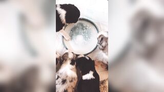 Bloomyogi (Emma Bloom aka Bloomyogi aka bloomyogi1) OnlyFans Leaks oftravelcouple Nature lover Porn 89