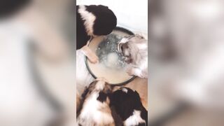 Bloomyogi (Emma Bloom aka Bloomyogi aka bloomyogi1) OnlyFans Leaks oftravelcouple Nature lover Porn 89