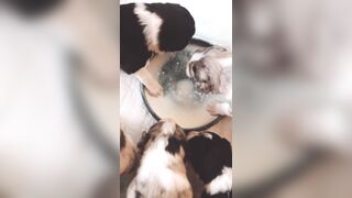 Bloomyogi (Emma Bloom aka Bloomyogi aka bloomyogi1) OnlyFans Leaks oftravelcouple Nature lover Porn 89