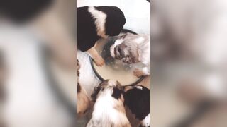 Bloomyogi (Emma Bloom aka Bloomyogi aka bloomyogi1) OnlyFans Leaks oftravelcouple Nature lover Porn 89