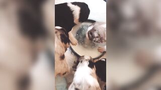 Bloomyogi (Emma Bloom aka Bloomyogi aka bloomyogi1) OnlyFans Leaks oftravelcouple Nature lover Porn 89