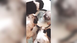 Bloomyogi (Emma Bloom aka Bloomyogi aka bloomyogi1) OnlyFans Leaks oftravelcouple Nature lover Porn 89