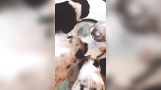 Bloomyogi (Emma Bloom aka Bloomyogi aka bloomyogi1) OnlyFans Leaks oftravelcouple Nature lover Porn 89