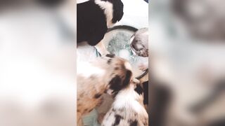 Bloomyogi (Emma Bloom aka Bloomyogi aka bloomyogi1) OnlyFans Leaks oftravelcouple Nature lover Porn 89