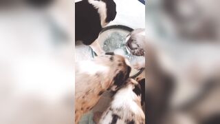 Bloomyogi (Emma Bloom aka Bloomyogi aka bloomyogi1) OnlyFans Leaks oftravelcouple Nature lover Porn 89