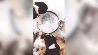 Bloomyogi (Emma Bloom aka Bloomyogi aka bloomyogi1) OnlyFans Leaks oftravelcouple Nature lover Porn 89