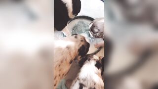 Bloomyogi (Emma Bloom aka Bloomyogi aka bloomyogi1) OnlyFans Leaks oftravelcouple Nature lover Porn 89