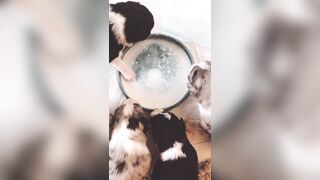 Bloomyogi (Emma Bloom aka Bloomyogi aka bloomyogi1) OnlyFans Leaks oftravelcouple Nature lover Porn 89