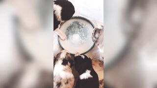 Bloomyogi (Emma Bloom aka Bloomyogi aka bloomyogi1) OnlyFans Leaks oftravelcouple Nature lover Porn 89