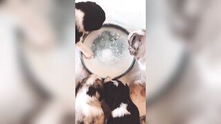 Bloomyogi (Emma Bloom aka Bloomyogi aka bloomyogi1) OnlyFans Leaks oftravelcouple Nature lover Porn 89