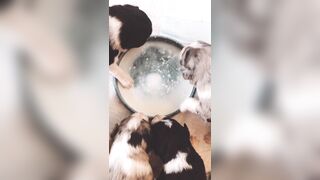 Bloomyogi (Emma Bloom aka Bloomyogi aka bloomyogi1) OnlyFans Leaks oftravelcouple Nature lover Porn 89