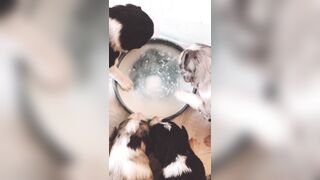 Bloomyogi (Emma Bloom aka Bloomyogi aka bloomyogi1) OnlyFans Leaks oftravelcouple Nature lover Porn 89