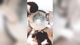 Bloomyogi (Emma Bloom aka Bloomyogi aka bloomyogi1) OnlyFans Leaks oftravelcouple Nature lover Porn 89