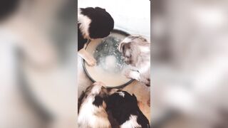 Bloomyogi (Emma Bloom aka Bloomyogi aka bloomyogi1) OnlyFans Leaks oftravelcouple Nature lover Porn 89