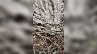 Mega Cherry (sharinandcarin) OnlyFans Leaks Blondie Hot Milf Exhibitionist Porn Video 29