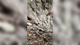 Mega Cherry (sharinandcarin) OnlyFans Leaks Blondie Hot Milf Exhibitionist Porn Video 29