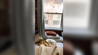 Islasummer (Isla Summer aka isla-summer aka heyoliversummer) OnlyFans Leaks Islasumcum Wonderful Babe 112