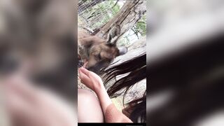 Sashaswan (Sasha Swan) OnlyFans Leaks UK London 25 yo Tatted Naughty Girl Porn Video 40