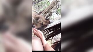 Sashaswan (Sasha Swan) OnlyFans Leaks UK London 25 yo Tatted Naughty Girl Porn Video 40