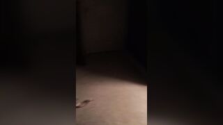 A27hopsonxxx (Anthony Hopson aka A Hopson aka A27hopson) OnlyFans Leaks HopsonAnt27 BBC X Hotwives Porn 38