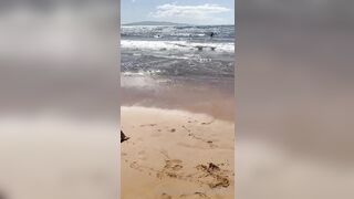 Julesari (Jules Ari aka juleserrari aka arijules1) onlyFans Leaks Sexy Silly Pretzel Girl Porn Video 123