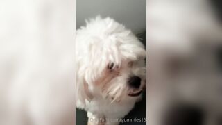 Gummies15 (Saralia aka gummies_15 aka _gummies15) OnlyFans Leaks Colombia 22 yo with a Crazy Imagination 13